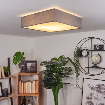 Tise Lámpara de Techo, 3 luces