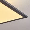 Salmi Lámpara de Techo LED Negro, Blanca, 2 luces