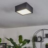 Netstal Lámpara de Techo LED Antracita, 1 luz