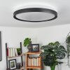 Buris Lámpara de Techo LED Negro, Blanca, 1 luz, Mando a distancia