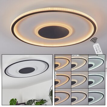 Kolo Lámpara de Techo LED Antracita, Blanca, 1 luz, Mando a distancia