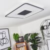 Kolo Lámpara de Techo LED Antracita, Blanca, 1 luz, Mando a distancia