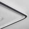 Kolo Lámpara de Techo LED Antracita, Blanca, 1 luz, Mando a distancia