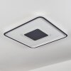 Kolo Lámpara de Techo LED Antracita, Blanca, 1 luz, Mando a distancia