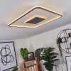 Kolo Lámpara de Techo LED Antracita, Blanca, 1 luz, Mando a distancia
