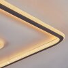Kolo Lámpara de Techo LED Antracita, Blanca, 1 luz, Mando a distancia