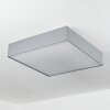 Tise Lámpara de Techo LED Blanca, 1 luz