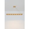 Holländer TENACIA Lámpara Colgante LED dorado, 7 luces