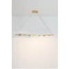 Holländer TENACIA Lámpara Colgante LED dorado, 7 luces