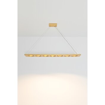 Holländer TENACIA Lámpara Colgante LED dorado, 7 luces