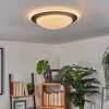 Wil Lámpara de Techo LED Antracita, Blanca, 1 luz
