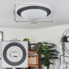Wil Lámpara de Techo LED Antracita, Blanca, 1 luz