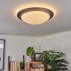 Wil Lámpara de Techo LED Antracita, Blanca, 1 luz