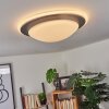 Wil Lámpara de Techo LED Antracita, Blanca, 1 luz