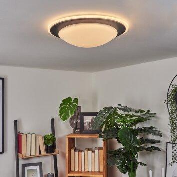 Wil Lámpara de Techo LED Antracita, Blanca, 1 luz