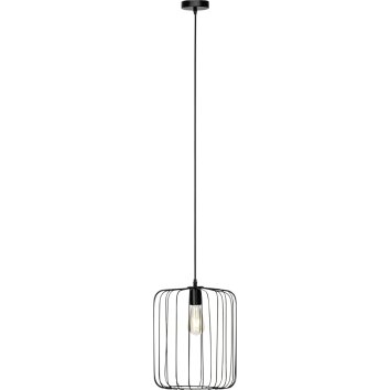 Brilliant Flavian Lámpara Colgante Negro, 1 luz