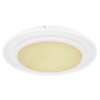 Globo MURPHY Lámpara de Techo LED Blanca, 1 luz, Mando a distancia, Cambia de color
