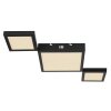Globo BURKHARD Lámpara de Techo LED Negro, 1 luz