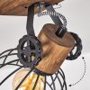 Orny Lámpara de Techo Madera oscura, Negro, 2 luces