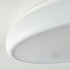 Rhone Lámpara de Techo LED Blanca, 1 luz, Cambia de color