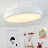 Rhone Lámpara de Techo LED Blanca, 1 luz, Cambia de color
