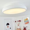Rhone Lámpara de Techo LED Blanca, 1 luz, Cambia de color