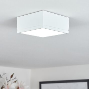 Netstal Lámpara de Techo LED Blanca, 1 luz