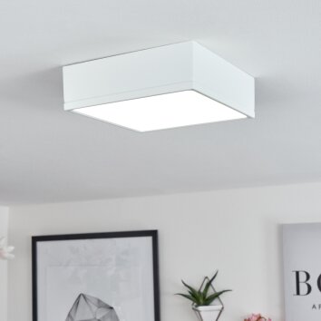 Netstal Lámpara de Techo LED Blanca, 1 luz