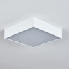 Netstal Lámpara de Techo LED Blanca, 1 luz