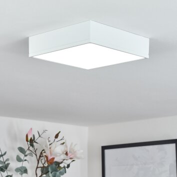 Netstal Lámpara de Techo LED Blanca, 1 luz