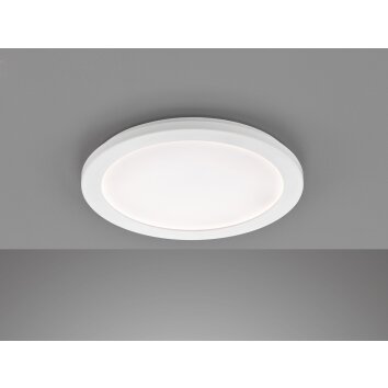 Fischer-Honsel Gotland Lámpara de Techo LED Blanca, 1 luz