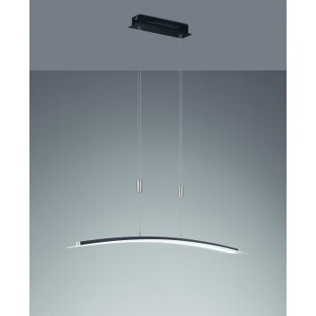 Fischer-Honsel Metis Lámpara Colgante LED Negro, 1 luz