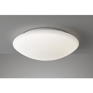 Fischer-Honsel Clara Lámpara de Techo LED Blanca, 1 luz