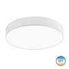 SCHÖNER-WOHNEN-Kollektion Pina Lámpara de Techo LED Blanca, 1 luz, Mando a distancia