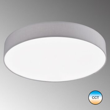 SCHÖNER-WOHNEN-Kollektion Pina Lámpara de Techo LED Blanca, 1 luz, Mando a distancia
