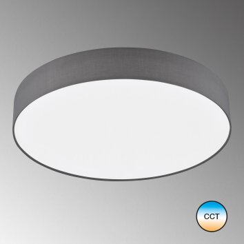 SCHÖNER-WOHNEN-Kollektion Pina Lámpara de Techo LED Blanca, 1 luz, Mando a distancia