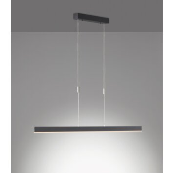 SCHÖNER-WOHNEN-Kollektion Straight Lámpara Colgante LED Negro, 1 luz