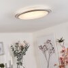 Sapioris Lámpara de Techo LED Plata, 1 luz