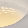Worben Lámpara de Techo LED Blanca, 1 luz