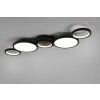 Trio-Leuchten Salsa Lámpara de Techo LED Negro, 1 luz