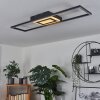 Taleta Lámpara de Techo LED Negro, Blanca, 1 luz