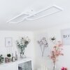 Hyacinthe Lámpara de Techo LED Blanca, 1 luz