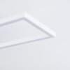 Hyacinthe Lámpara de Techo LED Blanca, 1 luz