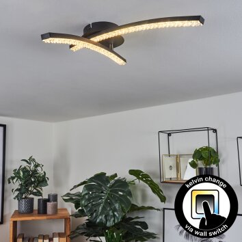 Rheinfelden Lámpara de Techo LED Negro, 1 luz