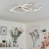 Frederick Lámpara de Techo LED Plata, Blanca, 1 luz