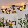 Tarasp Lámpara de Techo Negro, 5 luces