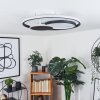 Kolo Lámpara de Techo LED Negro, Blanca, 1 luz