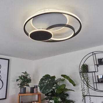 Kolo Lámpara de Techo LED Negro, Blanca, 1 luz