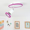 Cabri Lámpara de Techo LED Cromo, Lila, Blanca, 1 luz