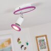 Cabri Lámpara de Techo LED Cromo, Lila, Blanca, 1 luz